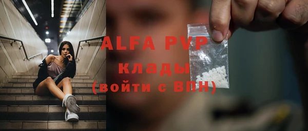 хмурый Абаза