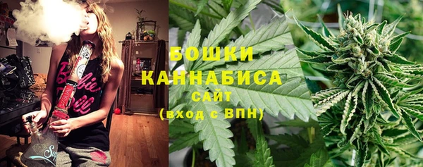 сатива Алзамай