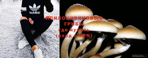 сатива Алзамай